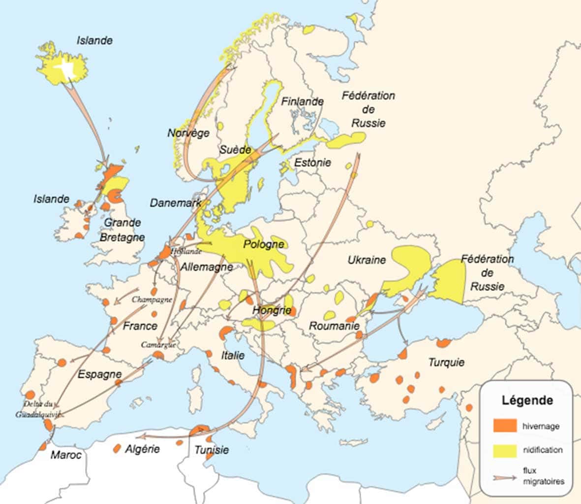 flux migratoires Europe copie